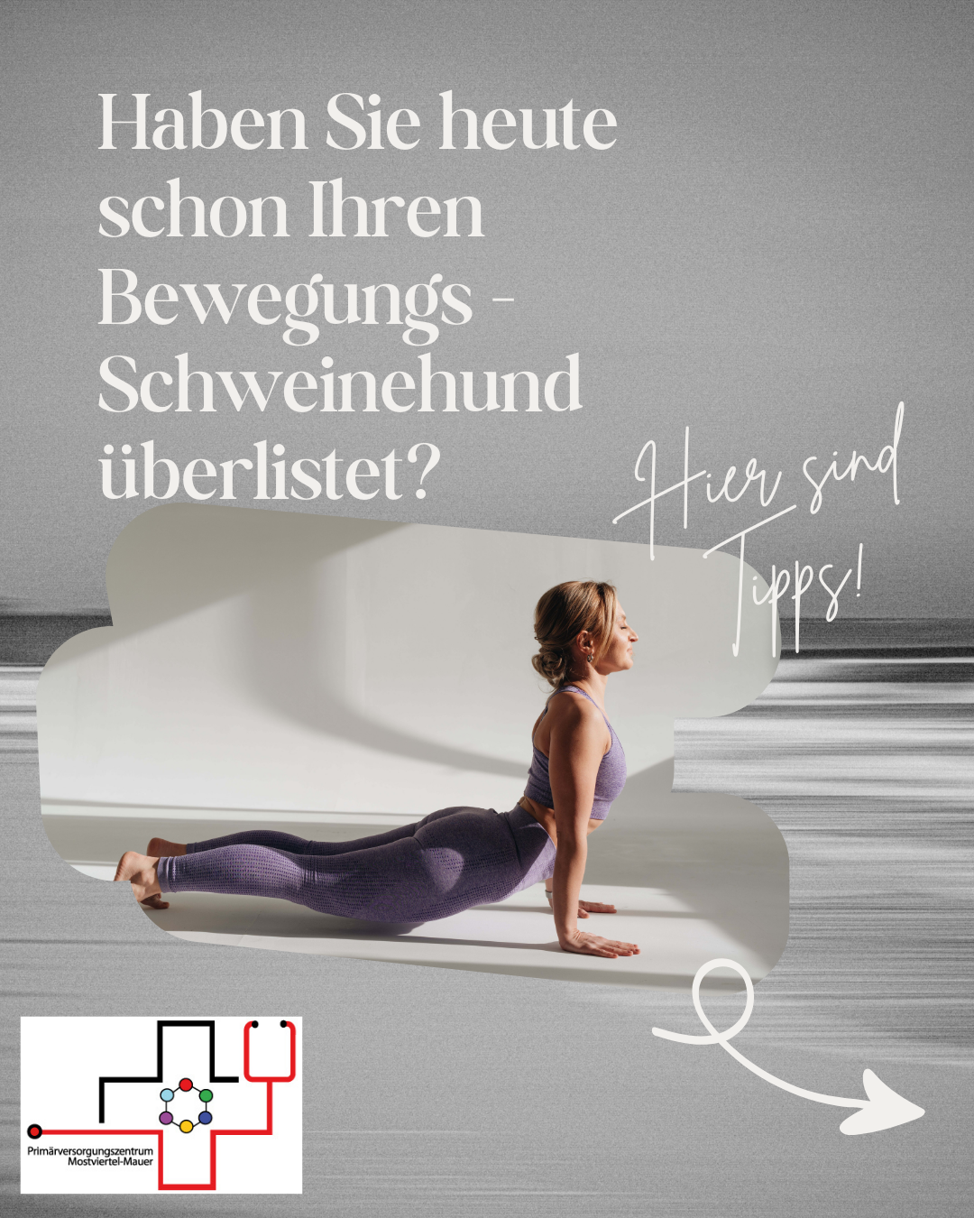 Bewegungs-Schweinehund