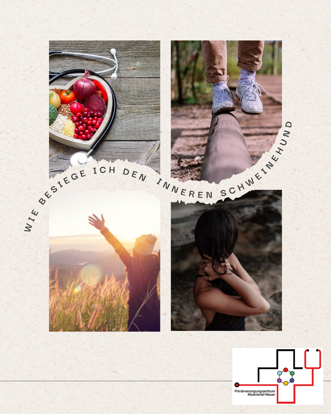 Wie besiege ich meine inneren Schweinehund?